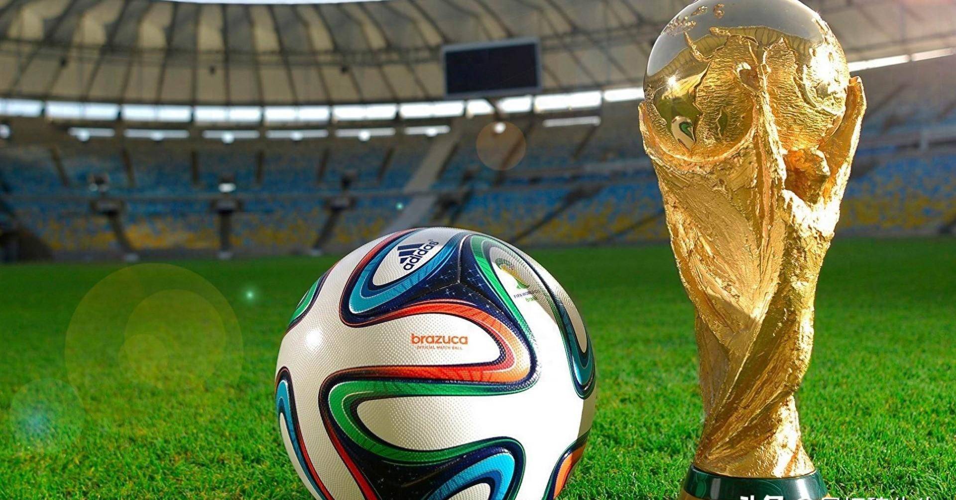 这使得很多 这使得很多