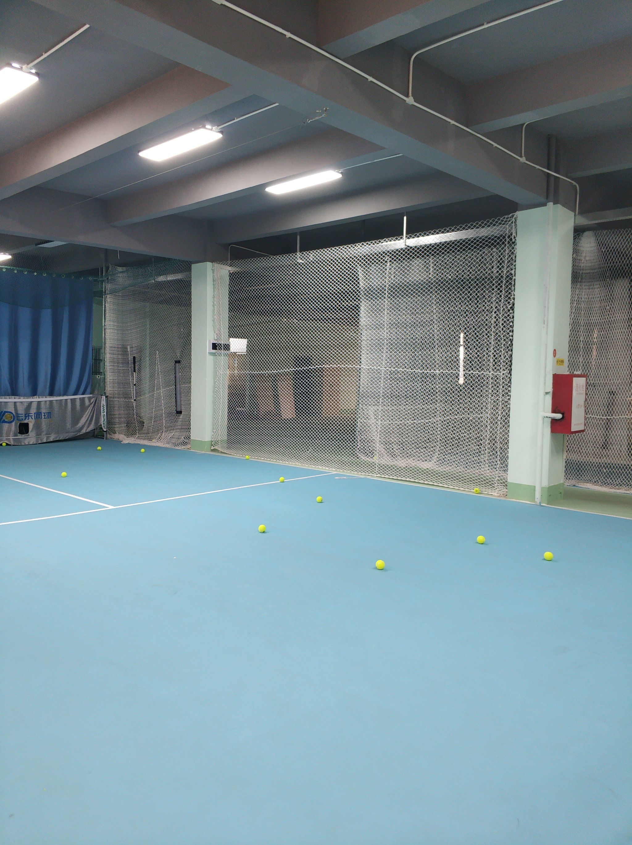 雷迪克在节 雷迪克在节